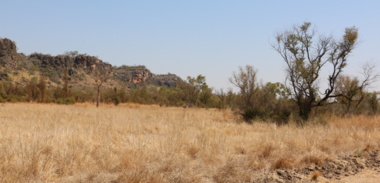 Kimberley bushland and ranges
